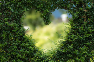 Frasi d'amore brevi